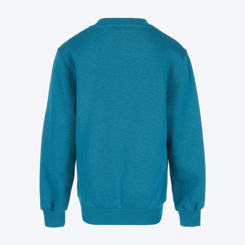 NIKE Duks nsw club flc crew ls lbr BG - FD3006-372#L