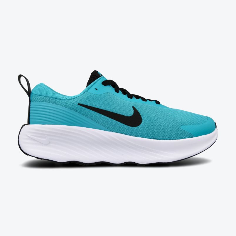 NIKE Patike promina M - FV5285-300