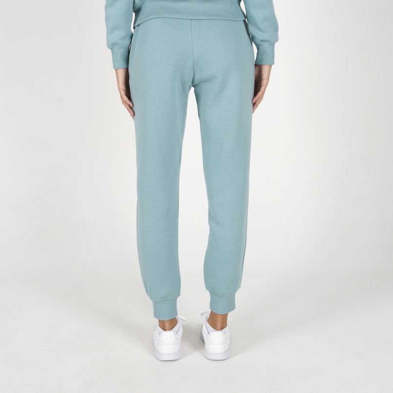 NIKE Donji deo trenerke nsw phnx flc mr pant std W - FZ7626-017#L