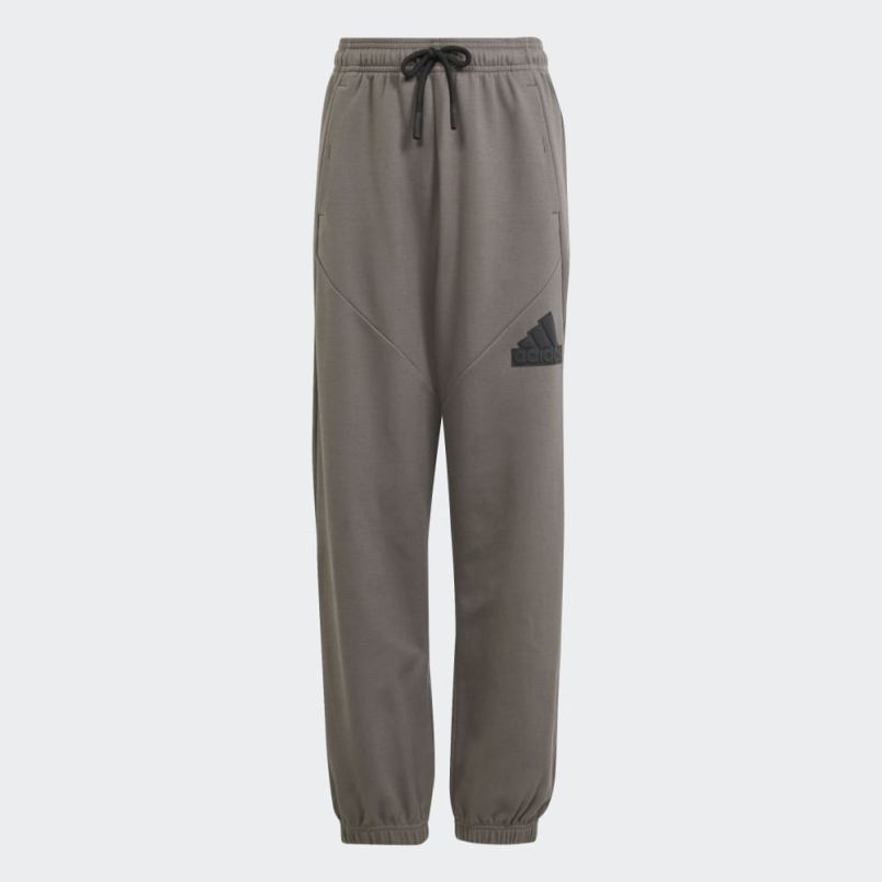 ADIDAS Donji deo future icons logo pants BG - IS3411