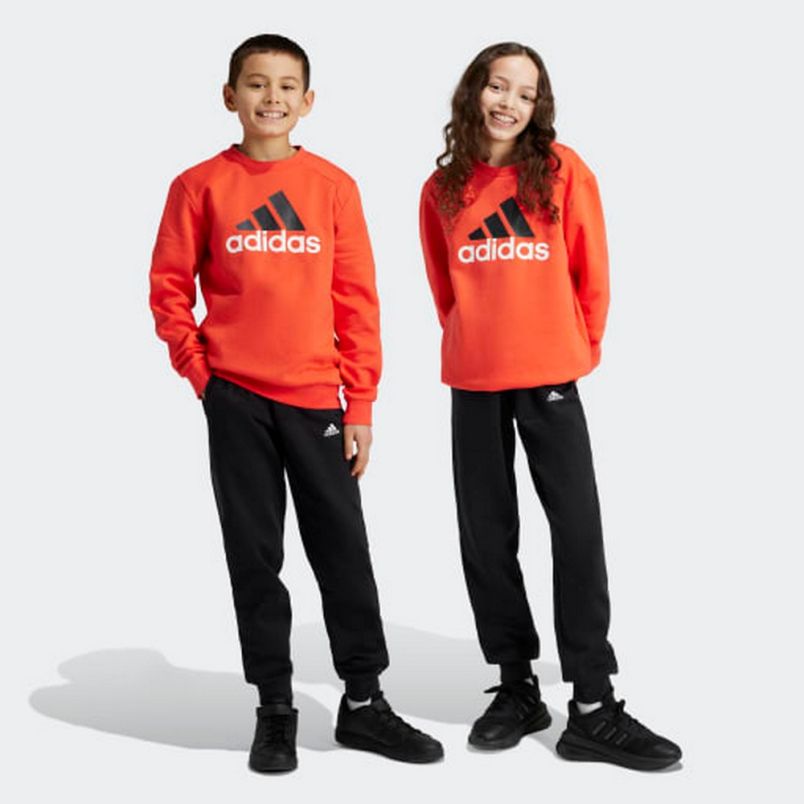 ADIDAS Trenerka essentials bl fl jogger set kids BP - IX9517
