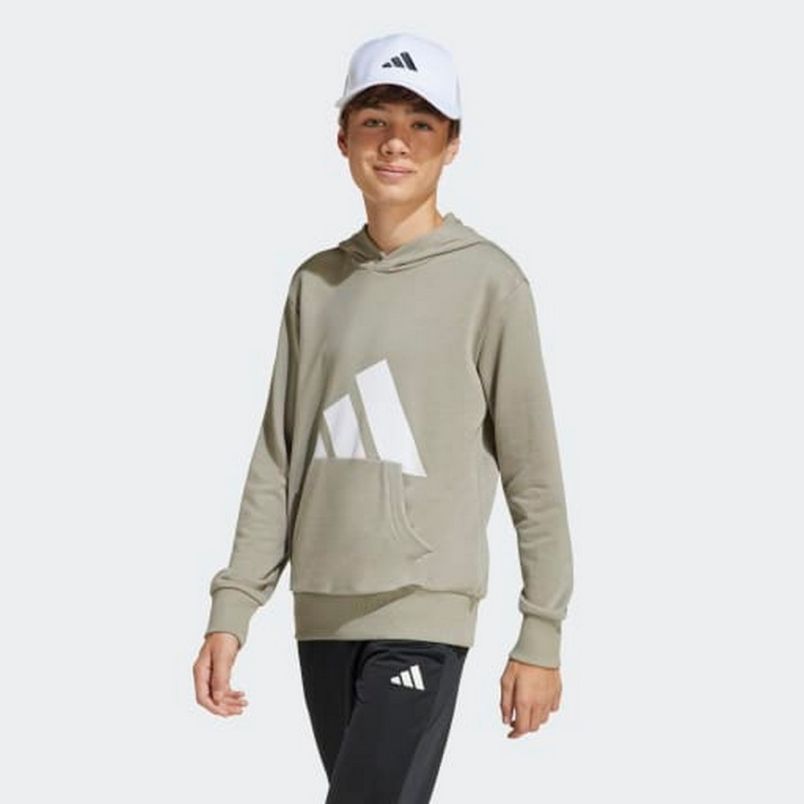 ADIDAS Duks sa kapuljačom essentials hoodie kids BP