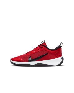 NIKE Patike omni multi-court BG - DM9027-601#36