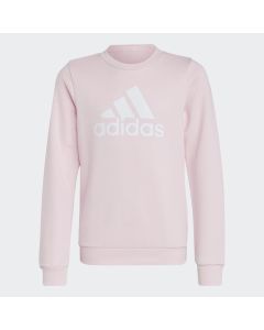 ADIDAS Duks essentials big logo cotton sweatshirt GG - IC6119#128