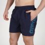 ARENA Šorc fundamentals logo boxer M - 006444-781