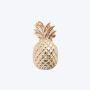 Crocs Bedž gold pineapple U - 10011124