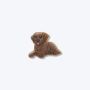 CROCS Bedz brown lab puppy U - 10014892