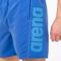 ARENA Šorc fundamentals logo boxer M - 1B344-720