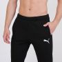 PUMA Donji deo trenerke evostripe core pants M - 585814-01