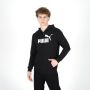 PUMA Duks sa kapuljačom ess big logo fz hoodie tr M - 586700-01
