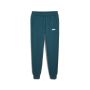 PUMA Donji deo trenerke ess+ 2 col logo pants fl cl M - 586767-08