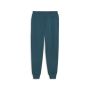 PUMA Donji deo trenerke ess+ 2 col logo pants fl cl M - 586767-08