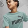 PUMA Majica kratak rukav ess logo tee BG - 586960-84