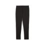 PUMA Donji deo trenerke evostripe core pants M - 631533-01