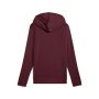 PUMA Duks sa kapuljačom ess no.1 logo hoodie fl (s) W - 682389-96