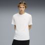 PUMA Majica kratak rukav evostripe tee M - 692189-02