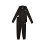 PUMA Trenerka hooded sweat suit full-zip fl cl W  - 693993-01