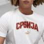 PUMA Majica kratak rukav fss ftblicons tee M - 774111-06