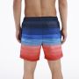 SPEEDO Šorc print redondo edge volley 17