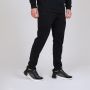PUMA Donji deo trenerke evostripe pants M - 847404-01