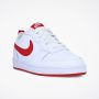 PATIKE NIKE COURT BOROUGH 2 LOW BG - BQ5448-103
