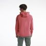 NIKE Duks sa kapuljačom m nk df hd po swsh M - CZ2425-655