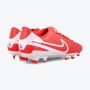NIKE Kopačke legend 10 club fg/mg M - DV4344-800