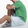 NIKE Šorc m nk club alumni hbr ft short M - DX0502-474