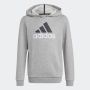 ADIDAS Duks sa kapuljačom u bl 2 hoodie BG - HB4362