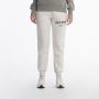 NIKE Donji deo trenerke w nsw phnx flc mr std logo pnt W - HM9757-104