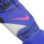 NIKE Rukavice gk match - ho24 - HQ0257-458