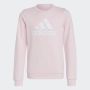 ADIDAS Duks essentials big logo cotton sweatshirt GG - IC6119