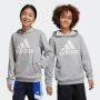 ADIDAS Duks sa kapuljačom u bl hoodie BP - IC6835