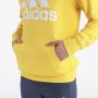 ADIDAS Duks sa kapuljačom m bl ft hd M - IC9834