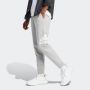 ADIDAS Donji deo trenerke m bl fl tc pt M - IJ6482