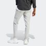 ADIDAS Donji deo trenerke m bl fl tc pt M - IJ6482