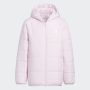 ADIDAS Jakna jk pad jkt GG - IL6075