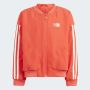 ADIDAS Duks  lk dy mm wb GT - IN7296