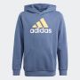 ADIDAS Duks essentials two-colored big logo hoodie BP - IQ4078