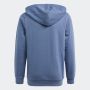 ADIDAS Duks essentials two-colored big logo hoodie BP - IQ4078