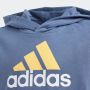 ADIDAS Duks essentials two-colored big logo hoodie BP - IQ4078