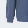 ADIDAS Duks sa kapuljačom u fi logo hd BP - IR8306