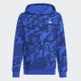 ADIDAS Duks sa kapuljačom j camlog ft hd BP - IS2555