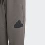 ADIDAS Donji deo future icons logo pants BG - IS3411
