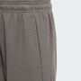 ADIDAS Donji deo future icons logo pants BG - IS3411