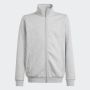 ADIDAS Trenerka j allszn gfx ts BG - IS4658