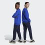 ADIDAS Trenerka j bl fl ts BG - IV7307