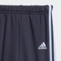 ADIDAS Trenerka i fruit ft jog BT - IW1002