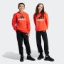 ADIDAS Trenerka essentials bl fl jogger set kids BP - IX9517