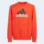 ADIDAS Trenerka essentials bl fl jogger set kids BP - IX9517